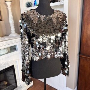 Zara Silver Mirror Sequin Crop‎ Top
